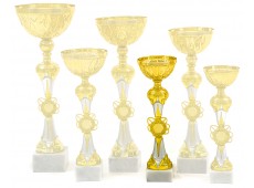 4920 E - Standard Cup